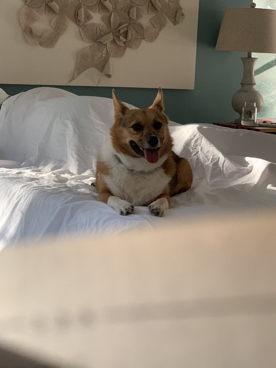 grimtuple's tweet image. 