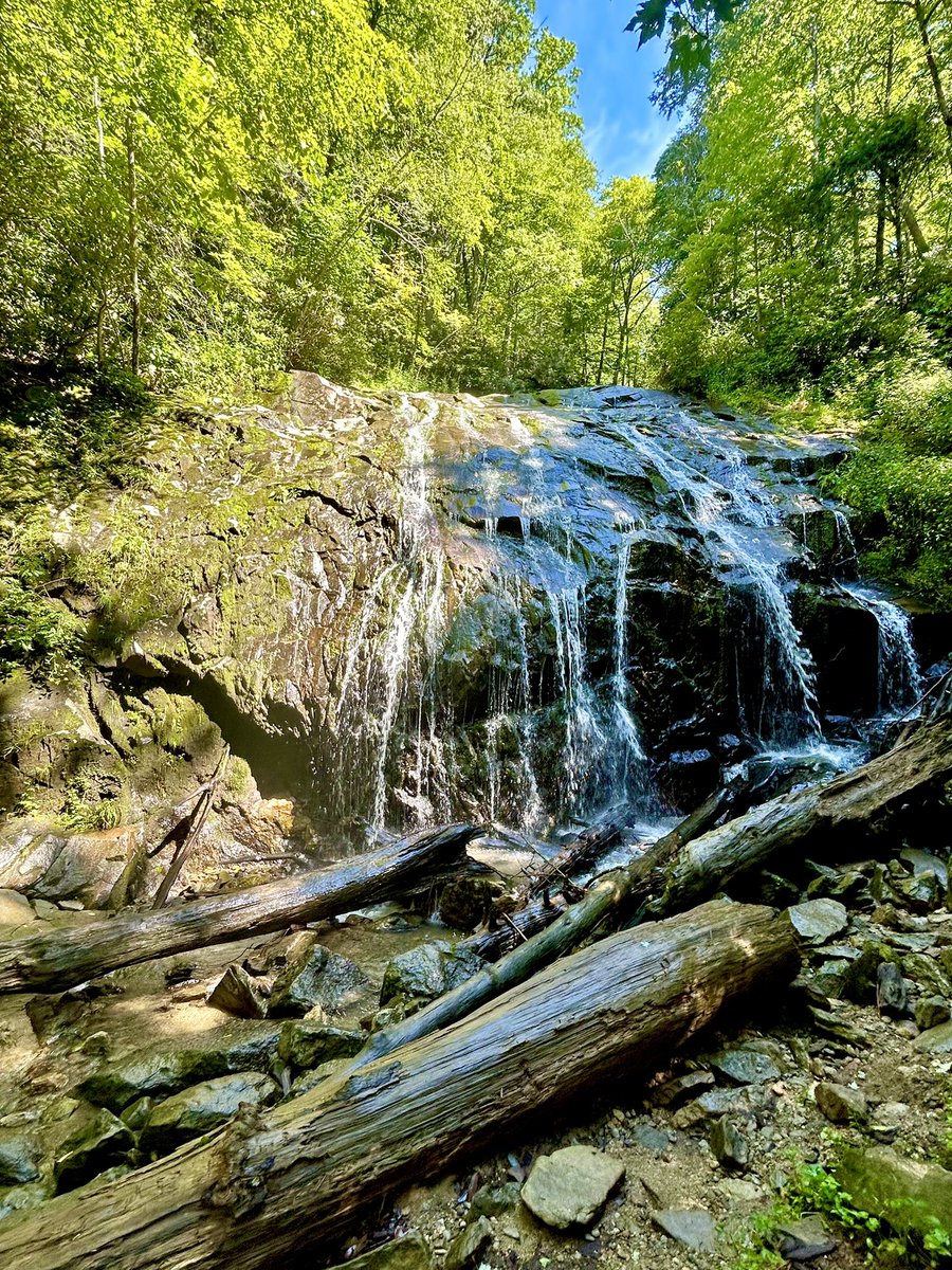 PastorPaulB1's tweet photo. It was an active rest day: a vigorous hike - only 1.2 miles each way, but with a descent of 580 feet in that short distance, and then the climb back up. What a glorious Sunday morning! (My local church meets late afternoon). #activerestday https://t.co/Q3E6ov4L3Z