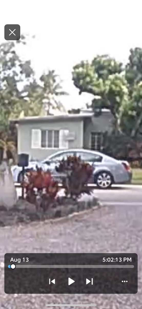 Michael J Pinto tweet media