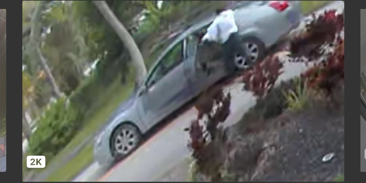 Michael J Pinto tweet media