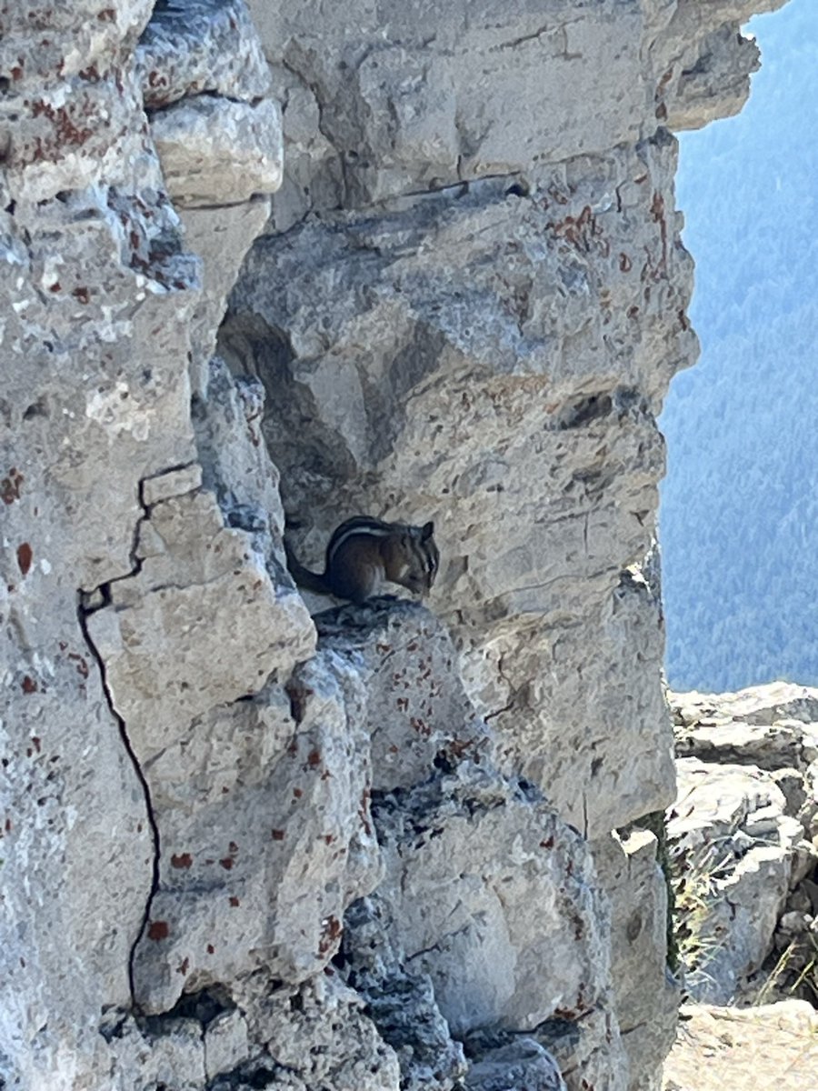 brenthitson's tweet photo. Hiking to the top of #StormCastle with Harrison … https://t.co/rkuQs28xh8