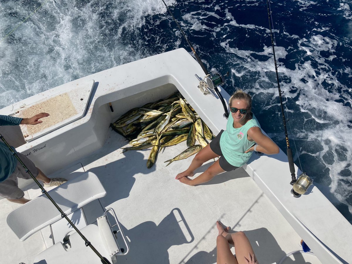 WestWindCharter's tweet photo. Fishing for the Alice Kelly Tournament and they reeled in a limited catch of Dolphin. #westwindcharters #captainolanwest #outerbanksdeepseafishing #offshorefishing #dolphinfishing #alicekellymemorialbillfishladiestournament #alicekellyfishingtournament #obx https://t.co/hMYhD9lCCA
