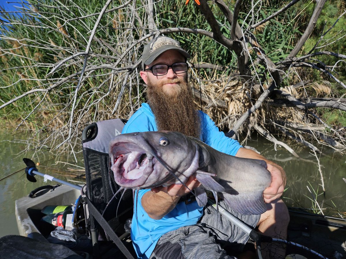 10thcastfishing's tweet photo. Catfishing the Jordan river Utah!

https://t.co/dmLfGXFybc https://t.co/NmKDFaQQY6