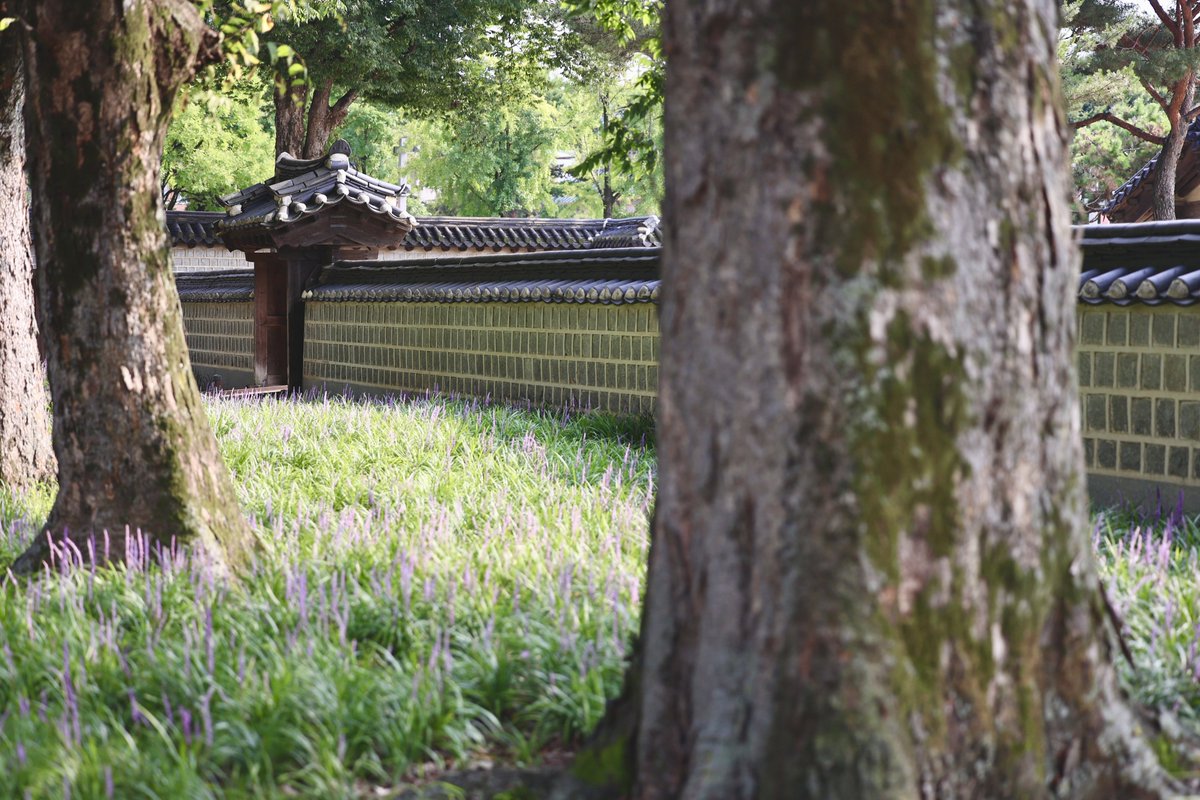 오 나 작년 이 날에도 전주에 있었네 ㅋㅋㅋ 비록 콘은 못 봤지만… 표가 없었… ㅋㅋㅋㅋ