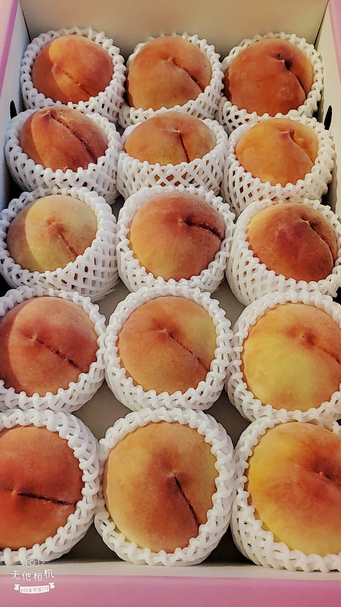 Pluschan1's tweet image. 和歌山の桃🍑

１度しかあってないお客様から　昼夜がんばっているからと　まいとし送られてくる❗

ありがとう❤️感謝🍀