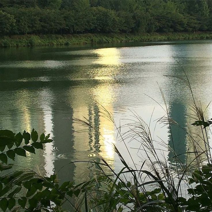 ·˚ ༘🐺⋆｡˚ tweet media