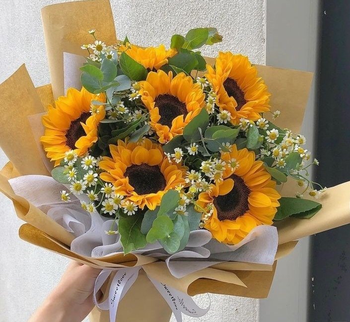 sunflowerchives's tweet photo. favorite sunflower thing🌻 https://t.co/m03lPzLQf5