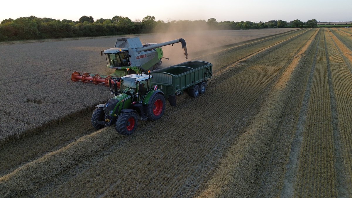 JonnyStorey3's tweet photo. Pushing on with #Harvest23 https://t.co/UVshpLDYJ2