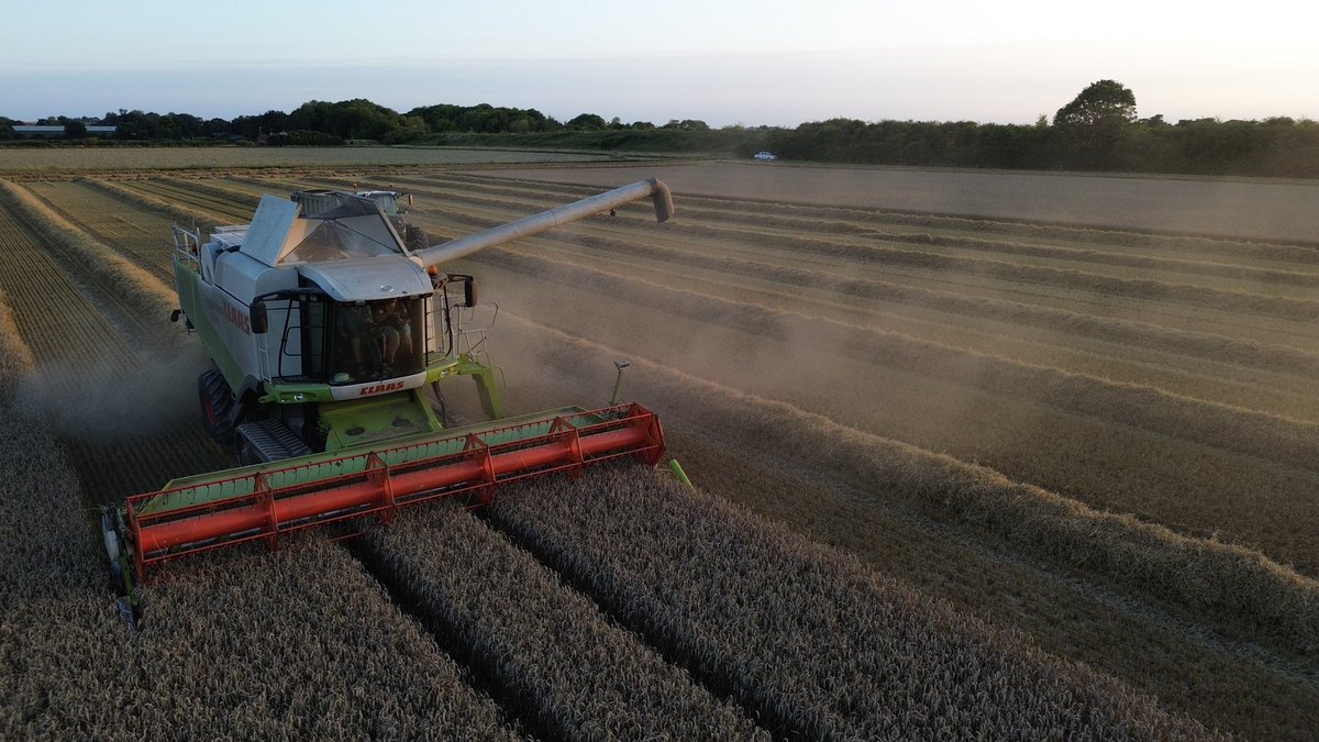 JonnyStorey3's tweet photo. Pushing on with #Harvest23 https://t.co/UVshpLDYJ2