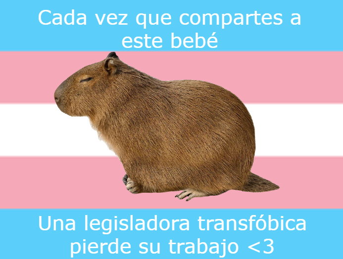 OwO #capybara