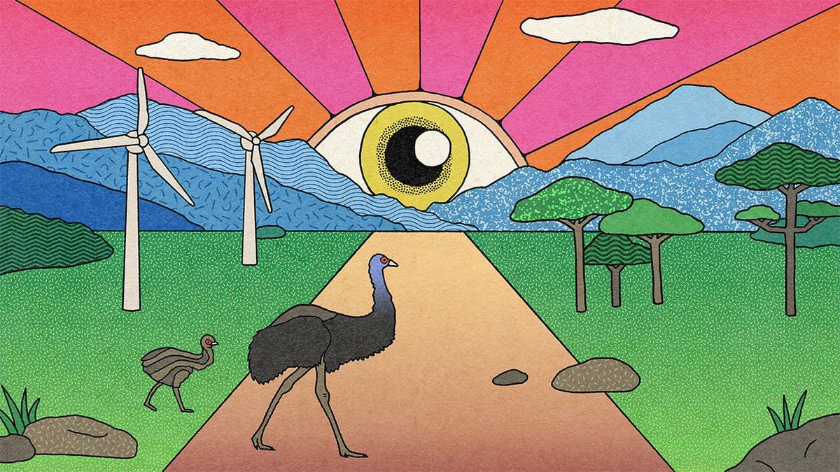 RDA Sunshine Coast tweet media