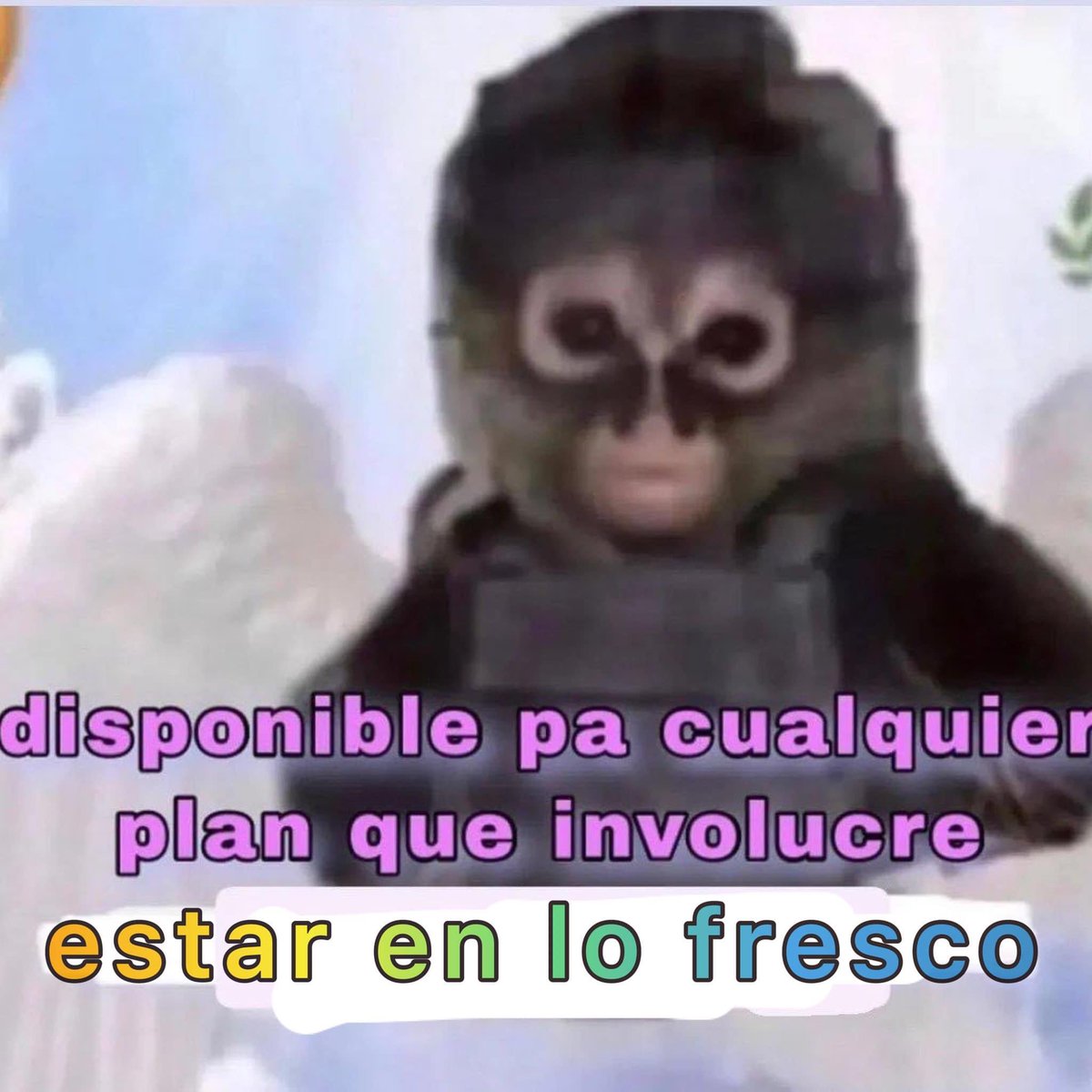 ElJeringasLoko's tweet photo. asi es https://t.co/r0PrU5cbO9
