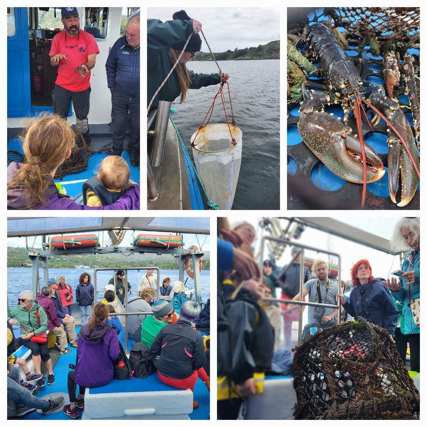 A fascinating day in Glengarriff Harbour taking in marine wildlife large & small: @saltyseasoup_ talking Maude Delap and all things jellyfish; Brian O'Rourke @bantrybaytours catching crustaceans; & sightings of white-tailed eagles & seals #ellenhutchinsfestival #HeritageWeek2023