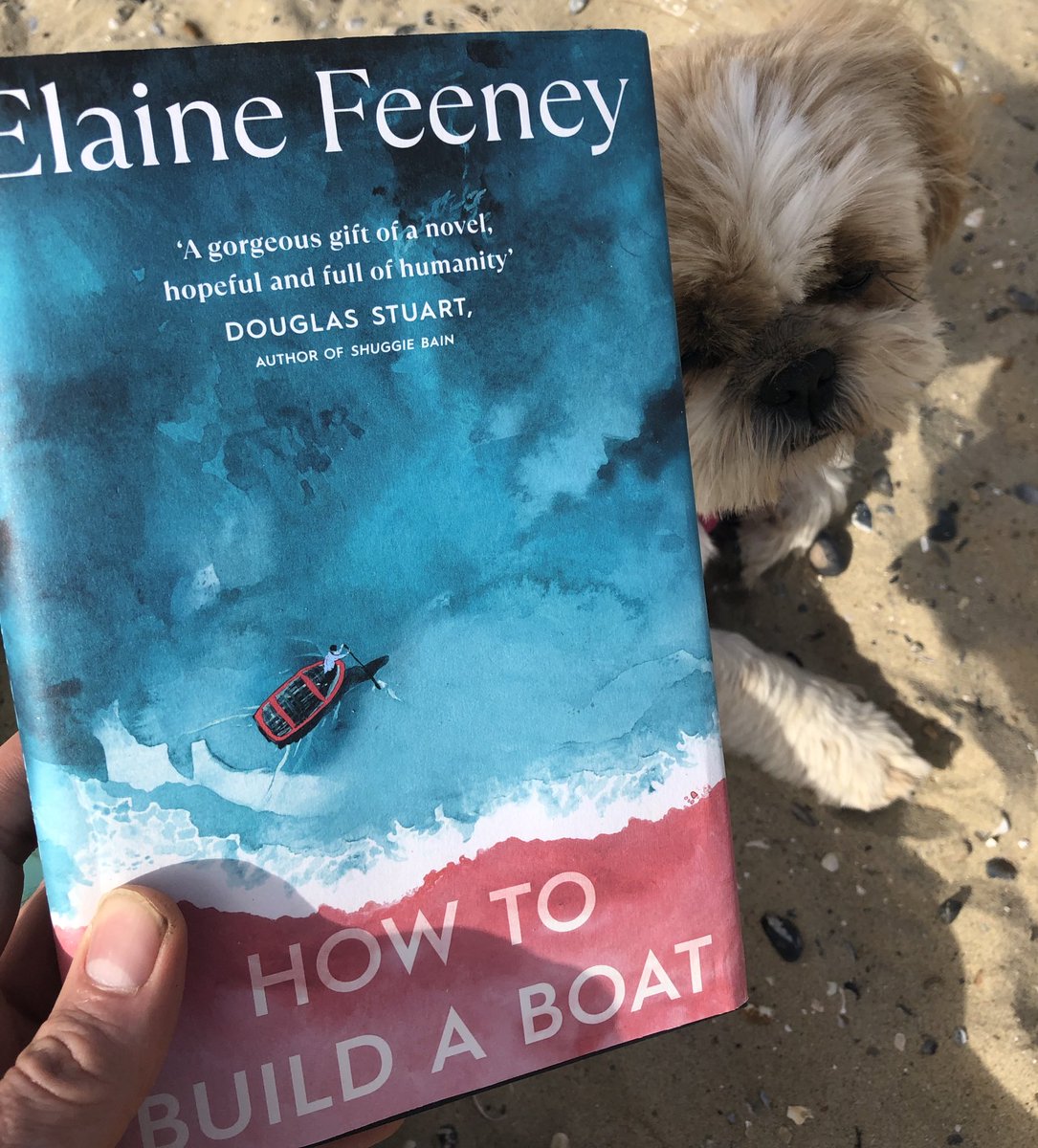 Browsing the @TheBookerPrizes - How To Build A Boat by @elainefeeney16. Charming and uplifting. A pleasure to spend time in the company of Jamie (who reminds me of a number of the kids at my school). Lovely.