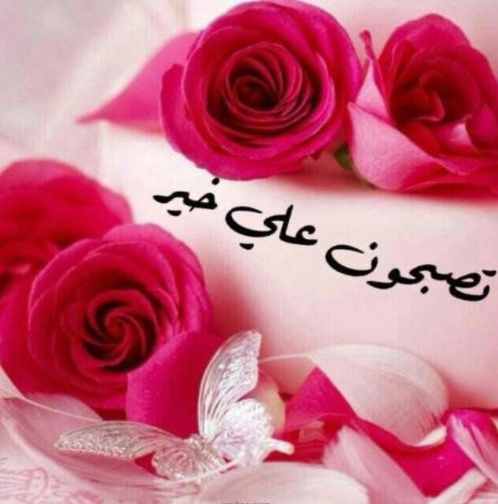 sar__224's tweet photo. لَا إِلَهَ إِلا أَنْتَ سُبْحَانَكَ إِنِّي كُنْتُ مِنَ الظَّالِمِينَ)

(لَا إِلَهَ إِلا أَنْتَ سُبْحَانَكَ إِنِّي كُنْتُ مِنَ الظَّالِمِينَ)

(لَا إِلَهَ إِلا أَنْتَ سُبْحَانَكَ إِنِّي كُنْتُ مِنَ الظَّالِمِينَ)

#باخرة_البووح
#مملكة_طارق_للدعم
⁧#مملكة_شيخه_للدعم https://t.co/GX7ofEHWF7
