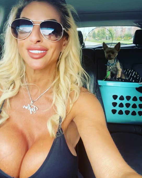 That&rsquo;s my #dog &hellip; me and bunny 🐰 my #roadtrip #roaddawg #yorkie #yorkiesofinstagram #yorkies #dogoftheday<a href="/tag/dog"class="tags">#dog</a><a href="/tag/roadtrip"class="tags">#roadtrip</a><a href="/tag/roaddawg"class="tags">#roaddawg</a><a href="/tag/yorkie"class="tags"><span>#yorkie</span></a><a href="/tag/dogoftheday"class="tags"><span>#dogoftheday</span></a><a href="/tag/yorkiesofinstagram"class="tags"><span>#yorkiesofinstagram</span></a><a href="/tag/dogsoftwitter"class="tags"><span>#dogsoftwitter</span></a>