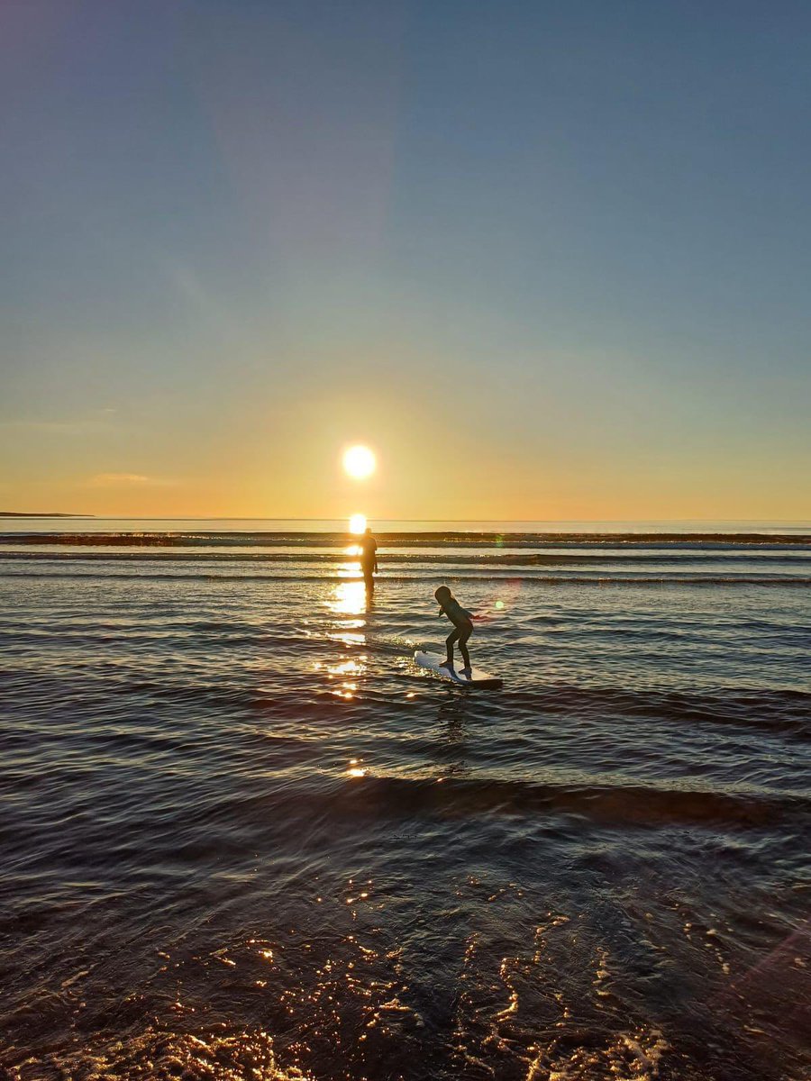 Allan Mulrooney tweet media