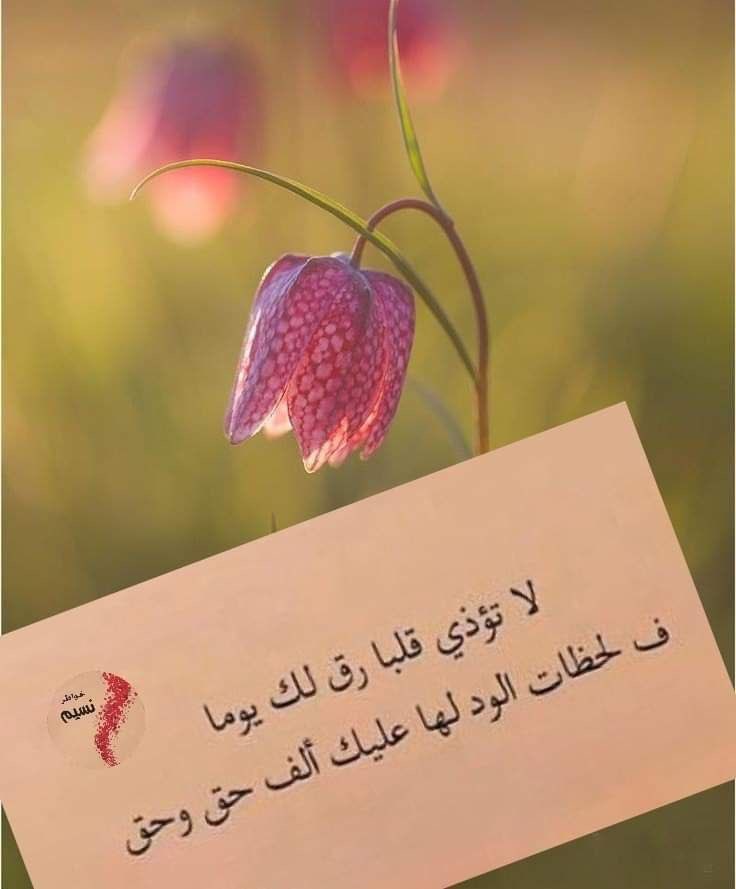 يا قلب لو لك حيله منين لك حيل
اصبر لو بحزنك تضيق الحناجر 

قل للبكى ماني بحاجة مناديل 
الدمع بعض احيان ماله محاجر 
#ريم_الجنوب
#قروب_المسافر_فهد
#أصيل_للدعم
#عطر_التغريدات