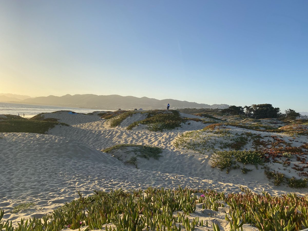 Mr_Stephens559's tweet photo. #July4th2023 #STEPHENSVIEW #BetterTogether #Views #beachday #NaturePhotograhpy #NatureBeauty https://t.co/xksMrClxxz