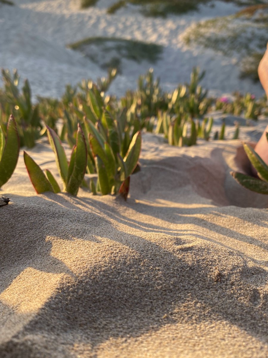 Mr_Stephens559's tweet photo. #July4th2023 #STEPHENSVIEW #BetterTogether #Views #beachday #NaturePhotograhpy #NatureBeauty https://t.co/xksMrClxxz