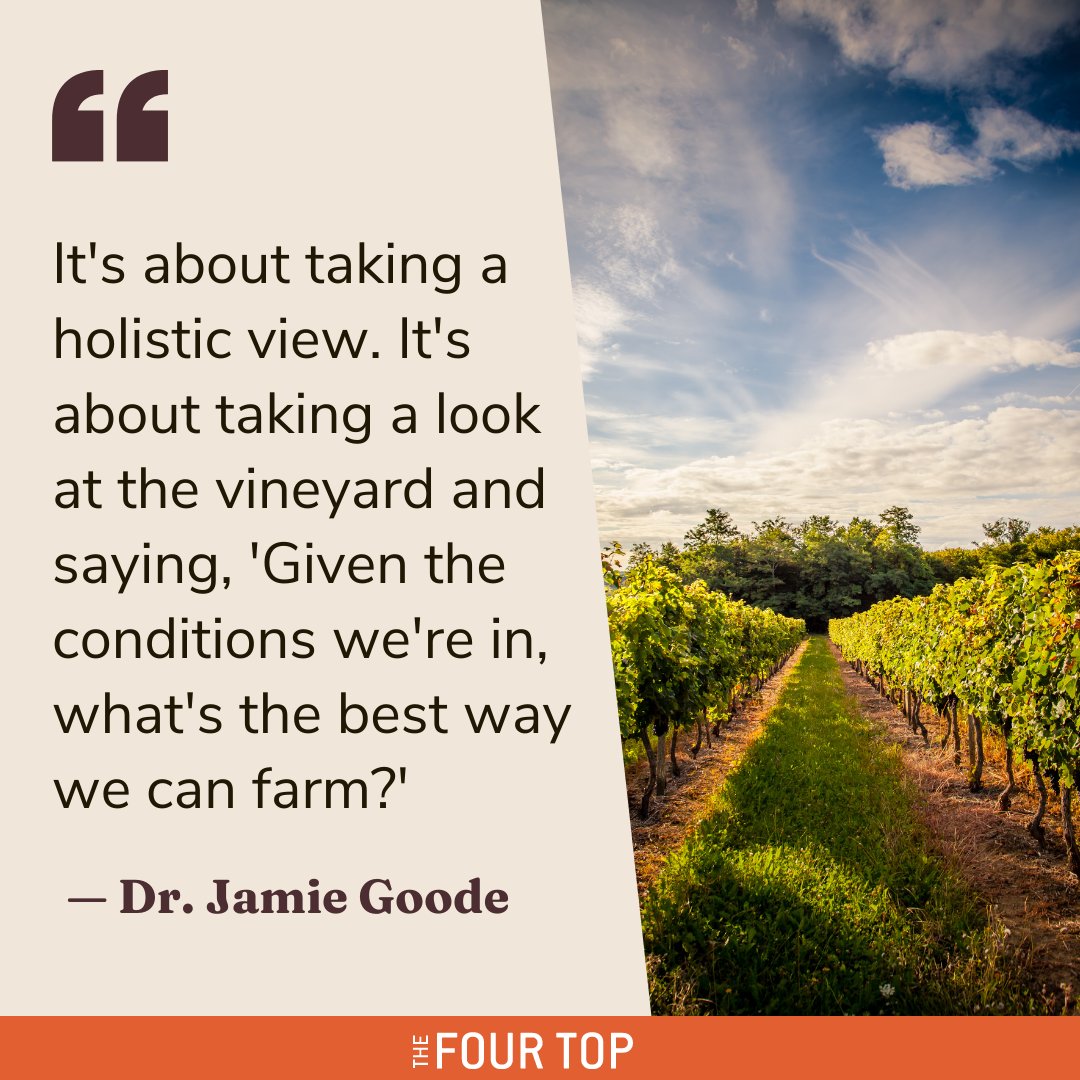Ep. 126 takes the themes we've discussed this season and ties them together. Click the link in our bio to hear <a href="/jamiegoode/">Jamie Goode</a> and Anna Brittain get into soil health, #scientific misunderstandings, and making hard decisions.