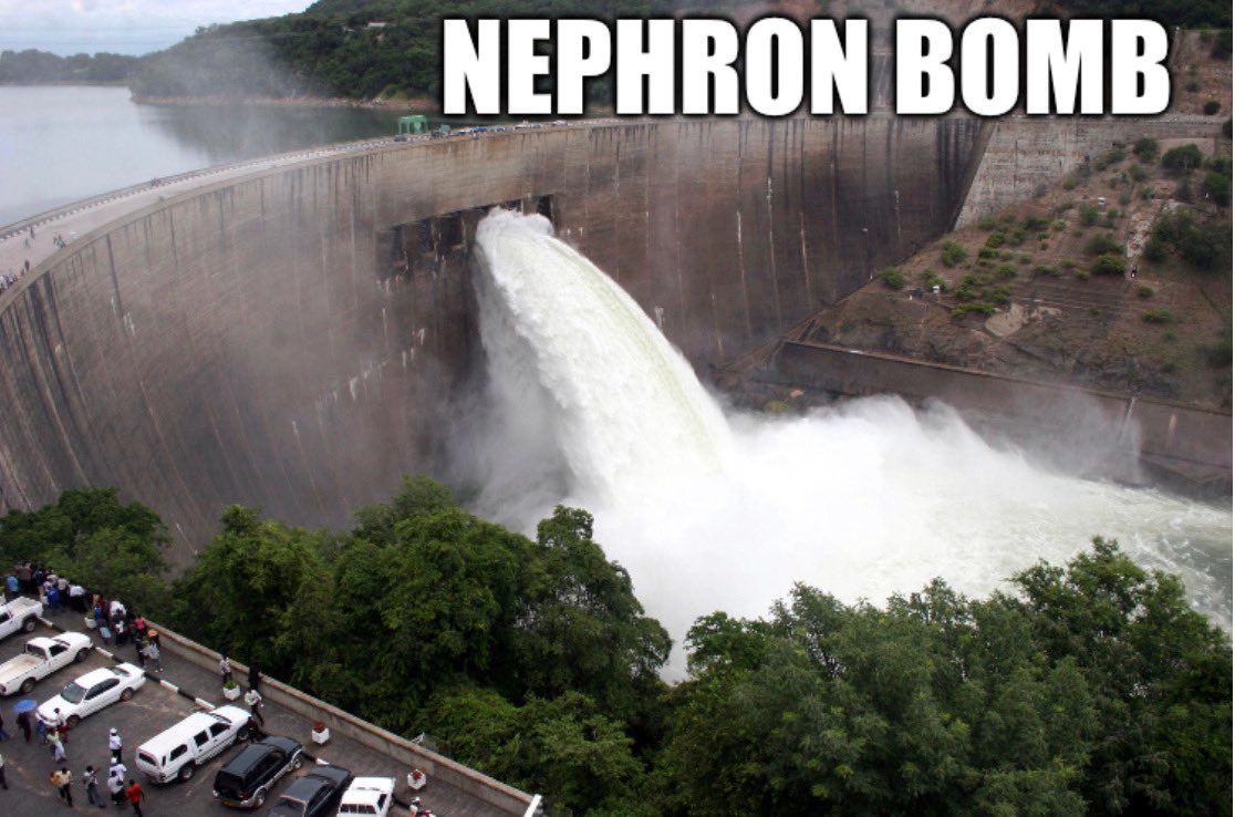 Big Bumex push + metolazone + acetazolamide + spironolactone =