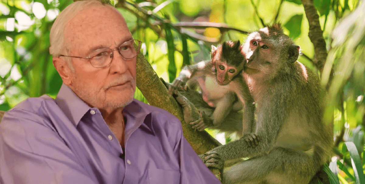 He went from experimenting on monkeys to becoming a trailblazing advocate for recognition of their rights.   
   
Learn more about Dr. John Gluck’s ethical transformation on this week’s #PETAPodcast 🎧 peta.vg/3pih