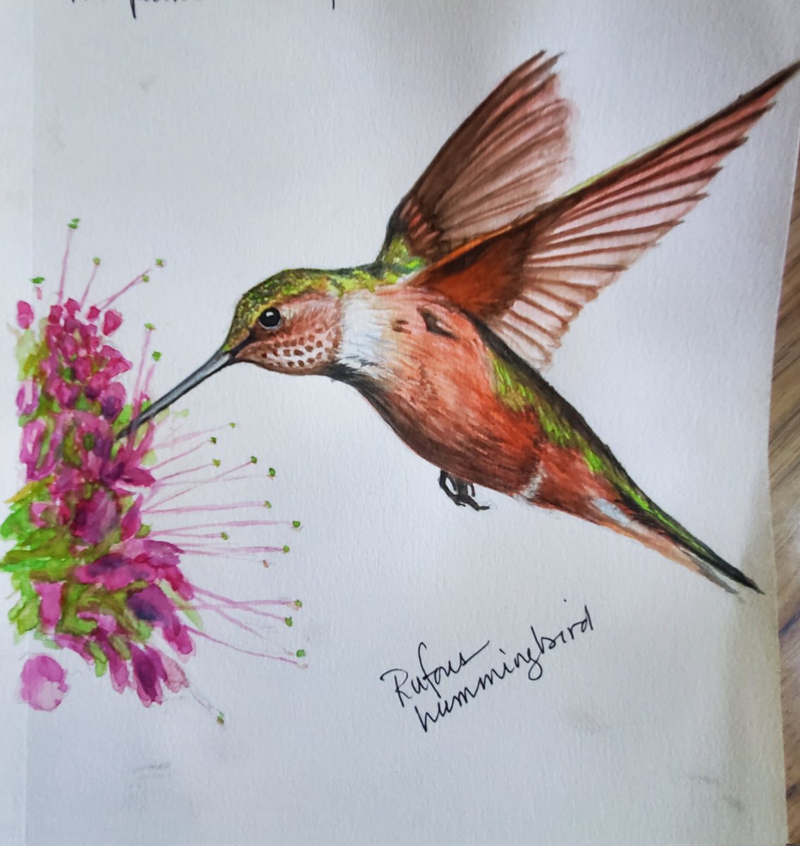 BirbDogGramma 💚 tweet media