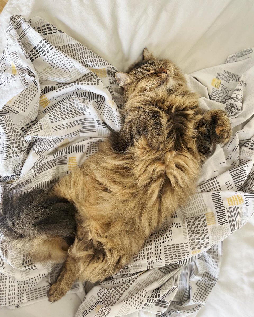 Never a truer word said
<a href="/duolingo/">Duolingo</a>