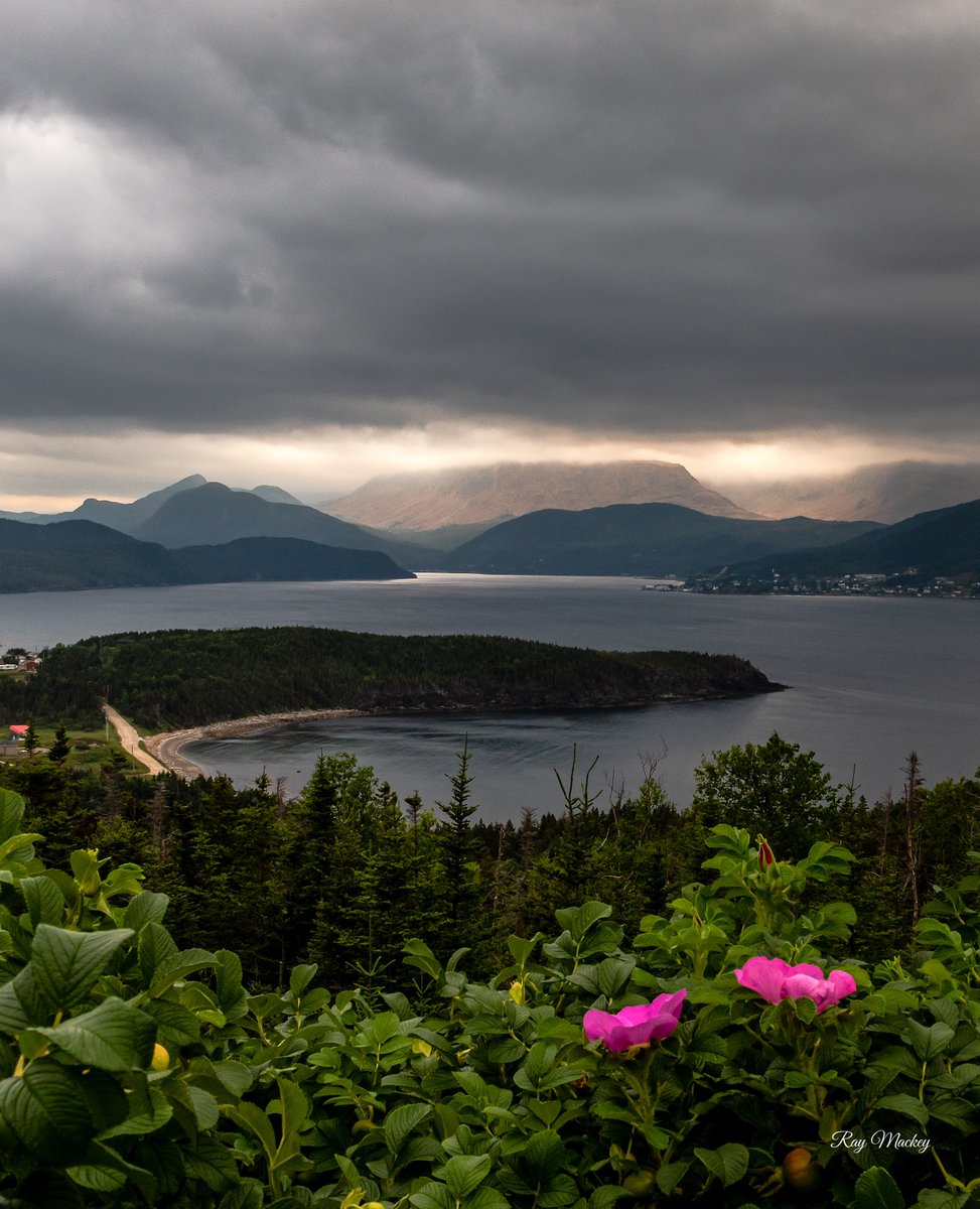 Gros Morne national Park, Newfoundland. #newfoundland #Canada #explorenl #exploreCanada