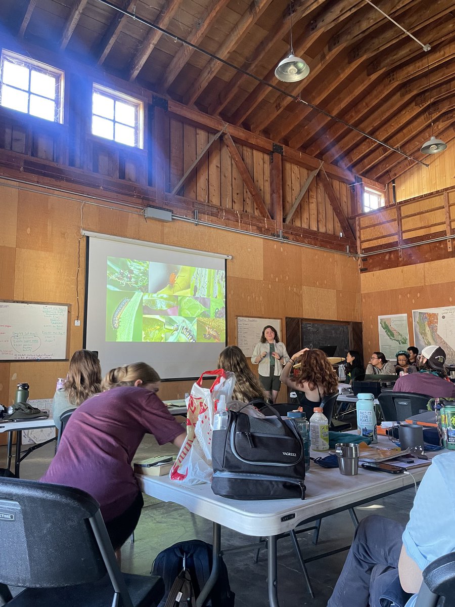 lydsdean's tweet photo. While I couldn't be at #ESA2023 this year, I had an amazing time presenting my research to the students of California Ecology and Conservation, a field class by the UC-NRS that I'm TAing this summer! https://t.co/tEU5aHXKSM