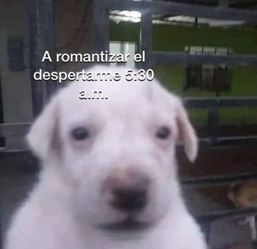 a mimir