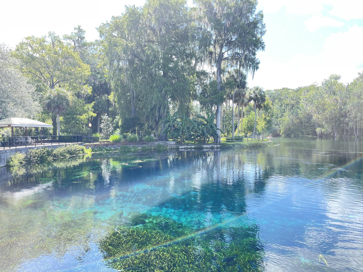 If you are every in Ocala, FL, be sure to visit Silver Springs. We took the boat ride around lagoon to see the fish and springs. The water is crystal clear. Really fun day. #SilverSprings #Florida #outdoors