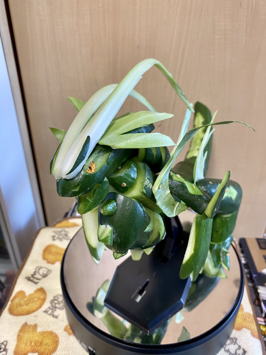 amenomi1366's tweet photo. 今年も迎えの精霊馬が用意できました。なんとか乗りこなして来てください。
\ｱｷﾞｬｰｽ/
#お盆 #精霊馬 #精霊馬2023 https://t.co/GzCbFUtyUo
