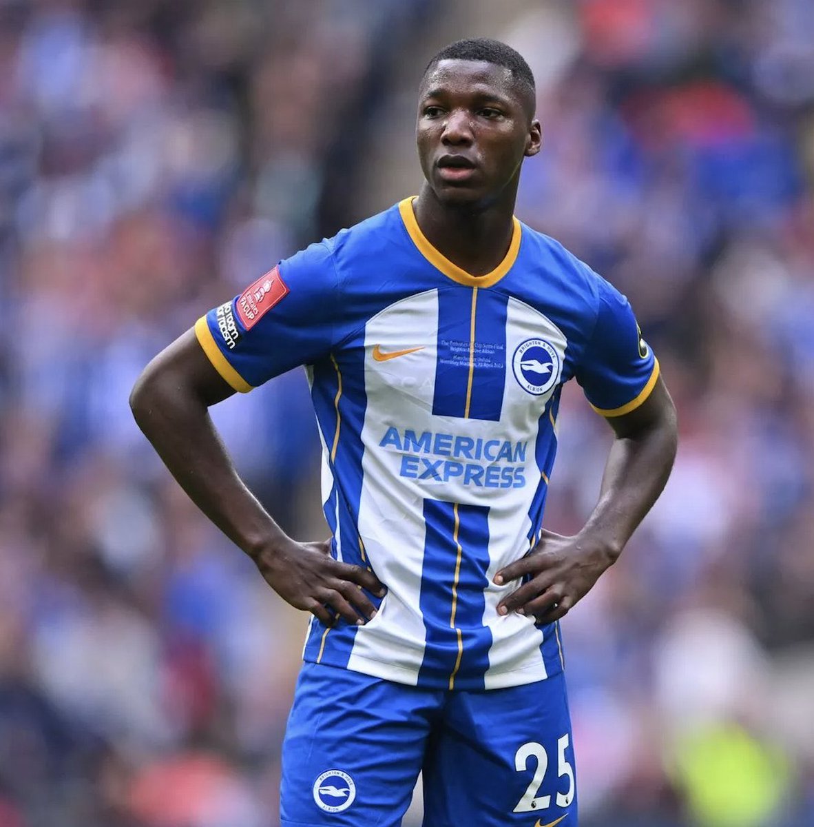 Transfermarkt.ar tweet media