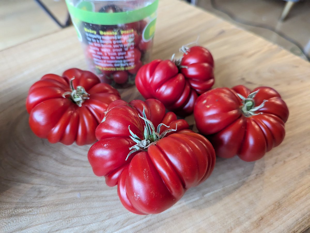 Dr Kate Compton tweet media