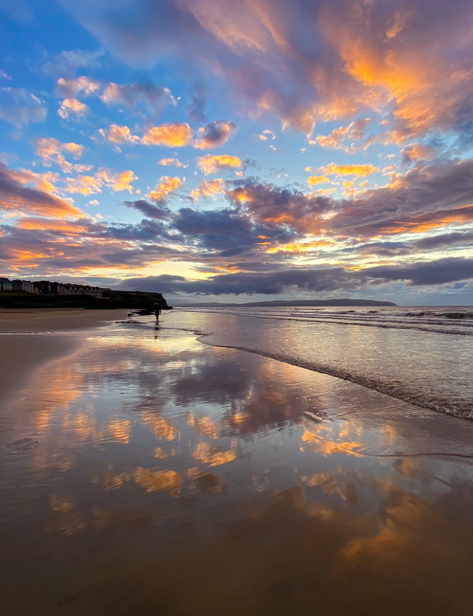 Sara O'Neill 🐚 tweet media