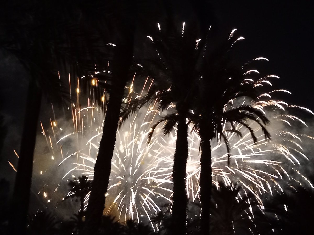 Endefora's tweet image. Palmera sobre palmera.
En Horts i Molins.