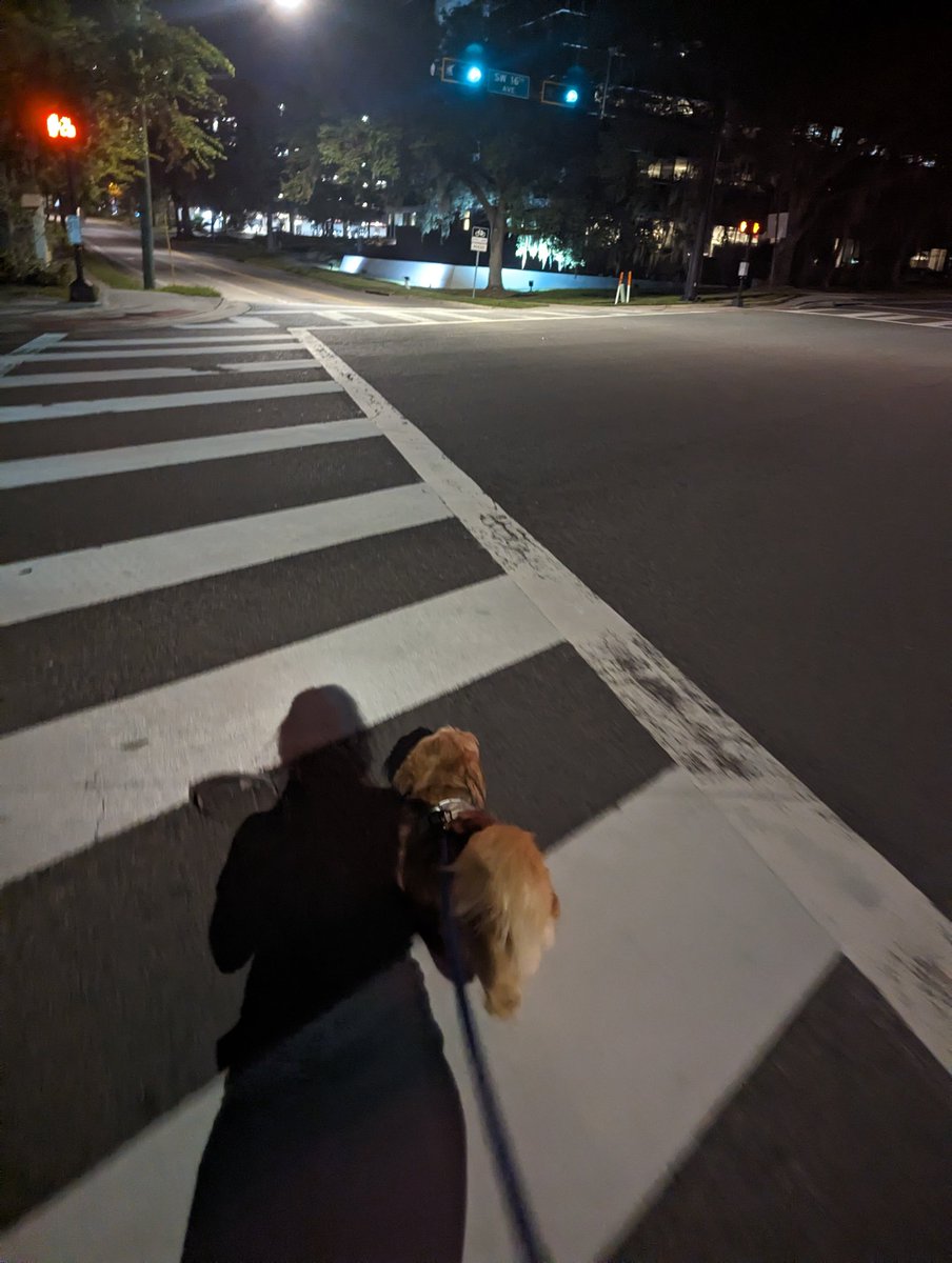 Lord Pillows tweet media