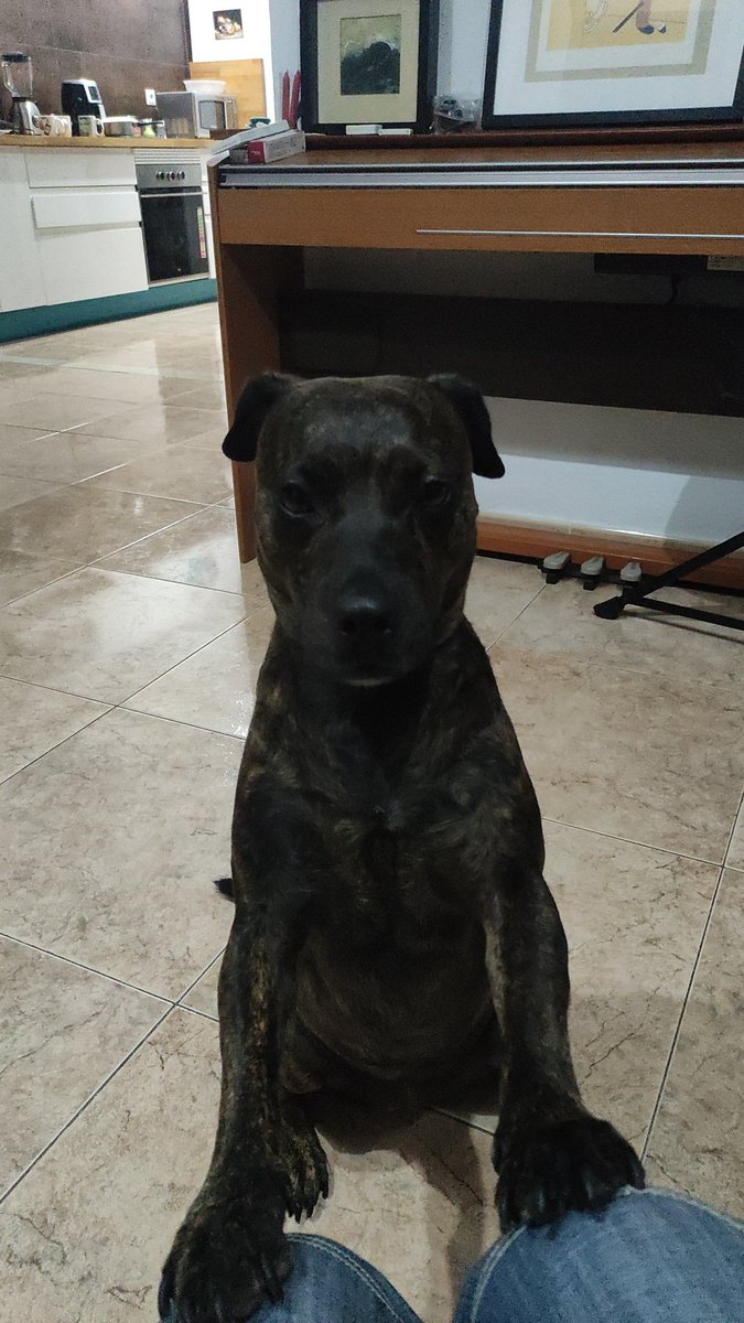 como va a tener esa carita la amo mi bebé