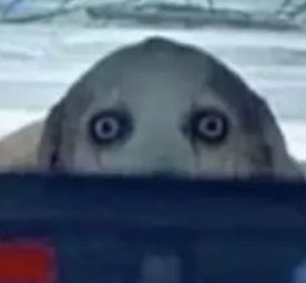 OafishC's tweet photo. Stalker https://t.co/DpbI6bNemt