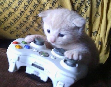 THEO × 🦖🚯 tweet media