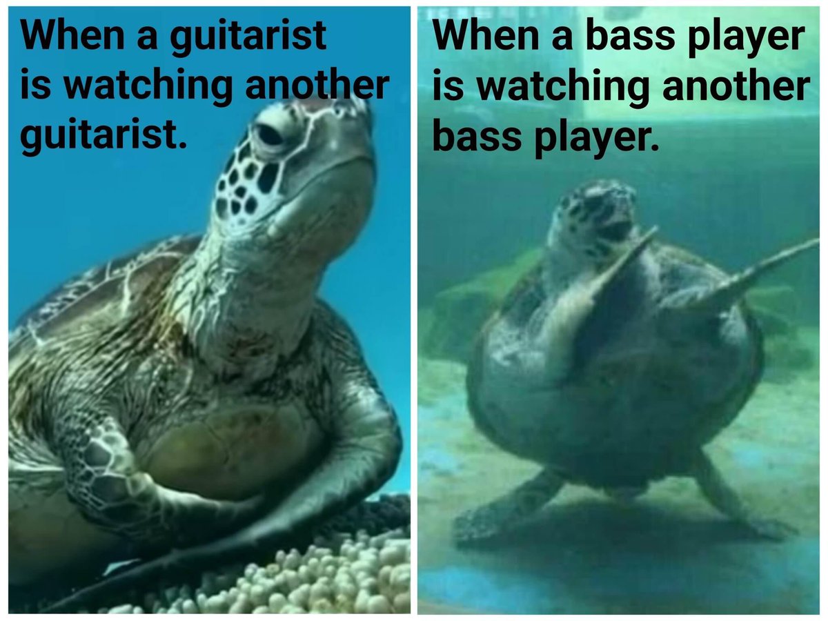 ChanceWOnody's tweet photo. 😂 Love it! #bassplayer https://t.co/kqTDHXpxo5