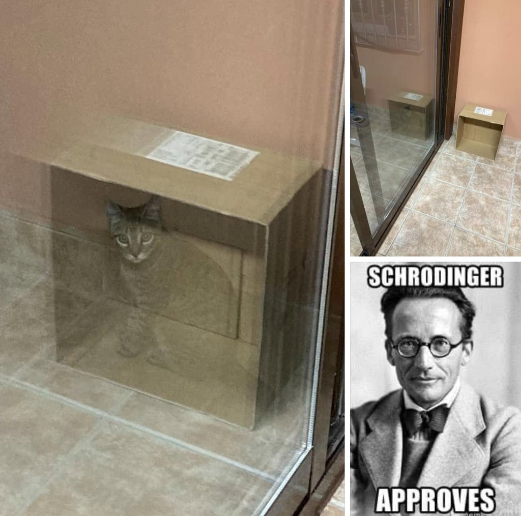 IsadoraAtellier's tweet photo. #Shrodinger https://t.co/g6tkBJiE4S