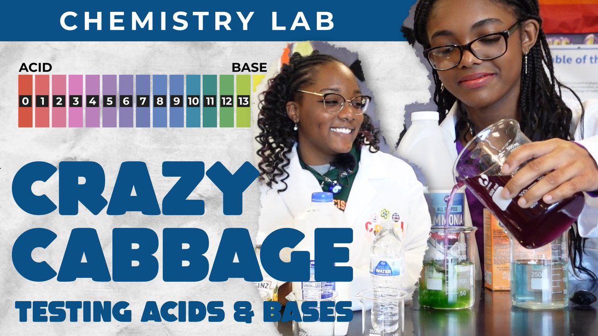Join Braniyah & Simora as they use red cabbage juice to determine the pH of 6 household chemicals! It’s our mission to find the most affordable ways to demonstrate science to students.

VIDEO —> youtu.be/3PWkaaAL1wo

#chemistry #physicalscience #experiments #STEMed #scienceed