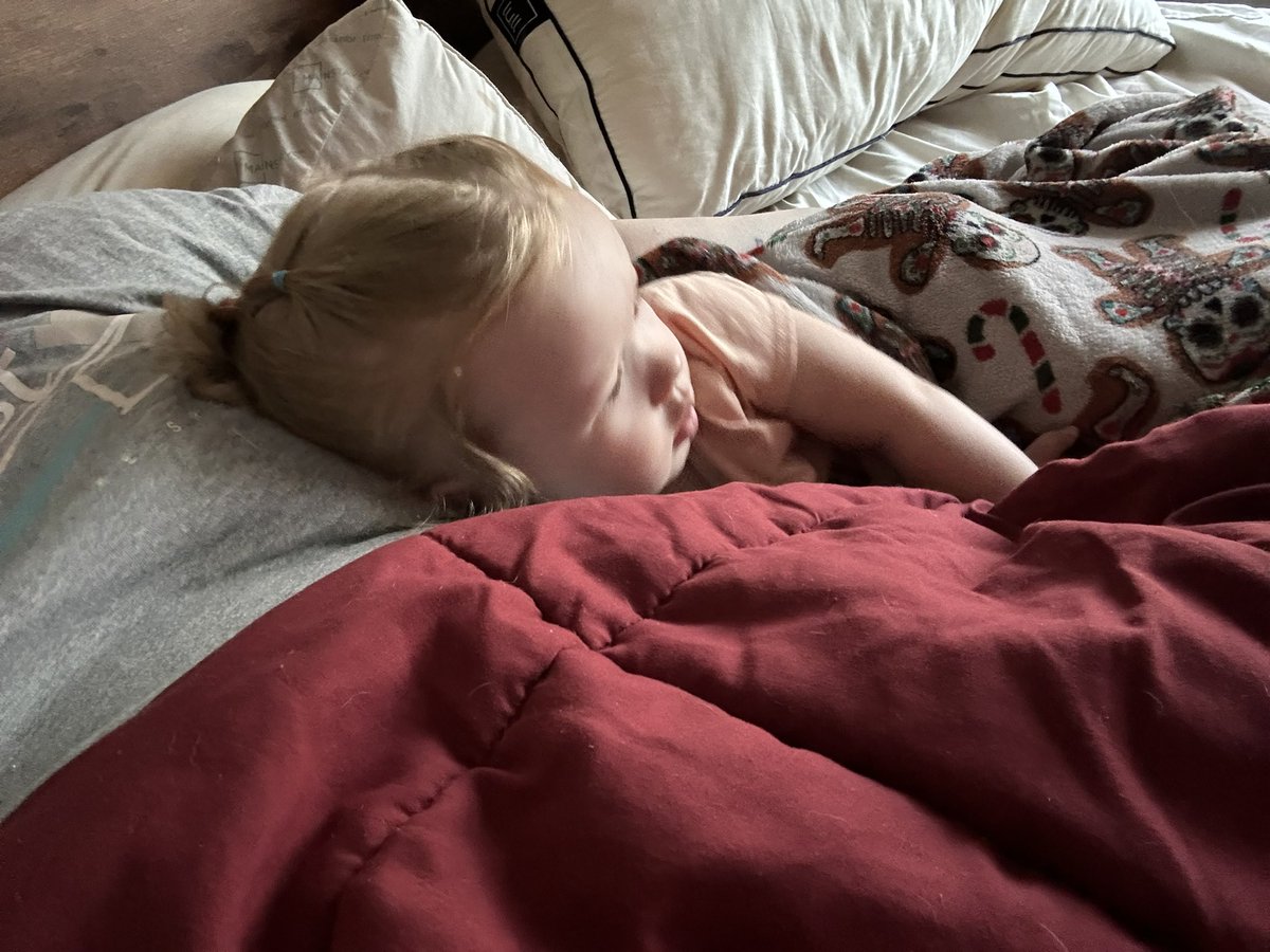 chloee516's tweet photo. She doesn’t usually cuddle so I soak it all in! https://t.co/ArhzpnWW26