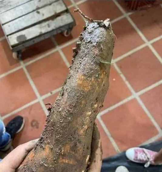 En el mitin         ///         Luego del mitin