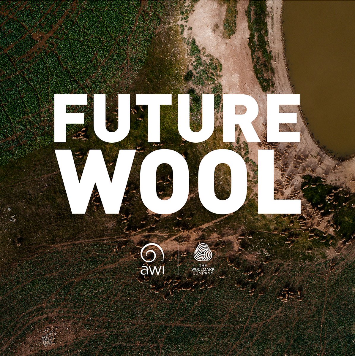 Good Morning Nyngan!
Will we be seeing ewe at the AWI Future Wool and AWI Sheep Connect NSW Winning With Weaners this Wednesday &amp; Thursday?
Make sure you register at the links below!

#SCNSW #FutureWool #winningwithweaners