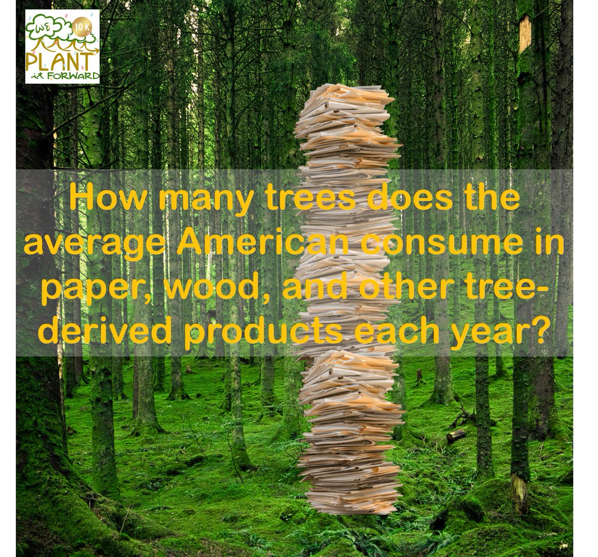 Uncover the Woodland Wonders with Our Weekly Tree Trivia! 
The question of the week:
How many trees does the average American consume in paper, wood, and other tree-derived products each year? 📜🪵 Challenge yourself to explore the forest of facts and share your guess with us!