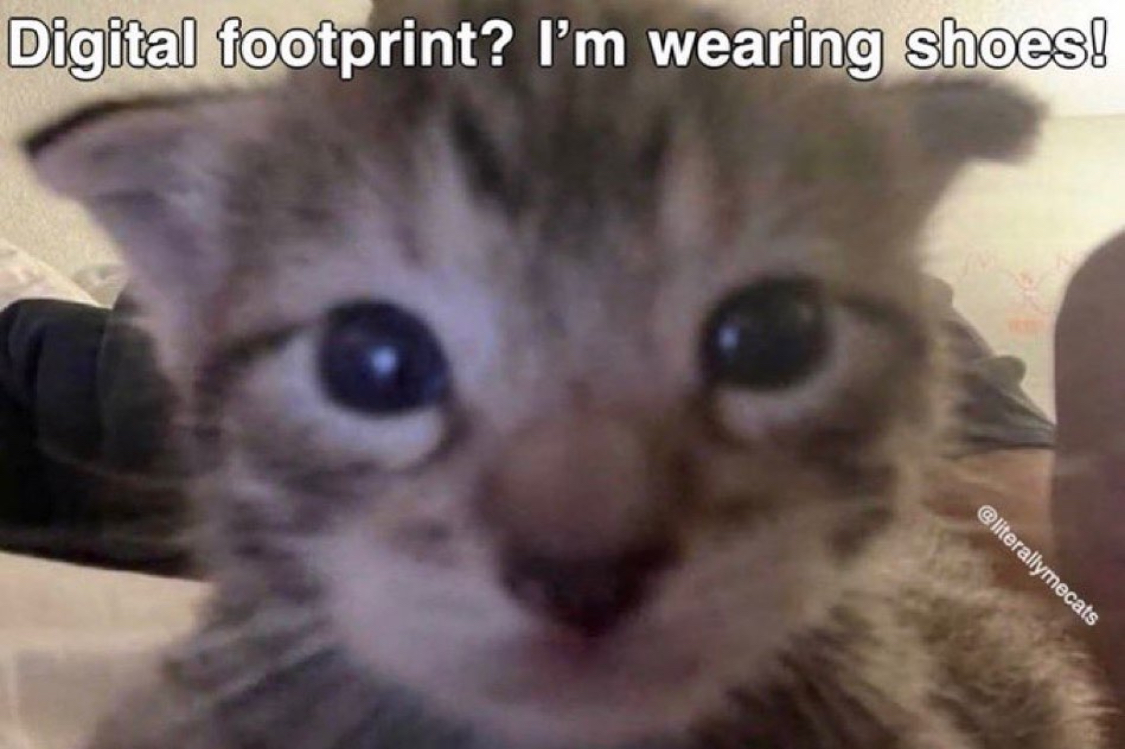 🕐HOURLY🕑 shitpost tweet media